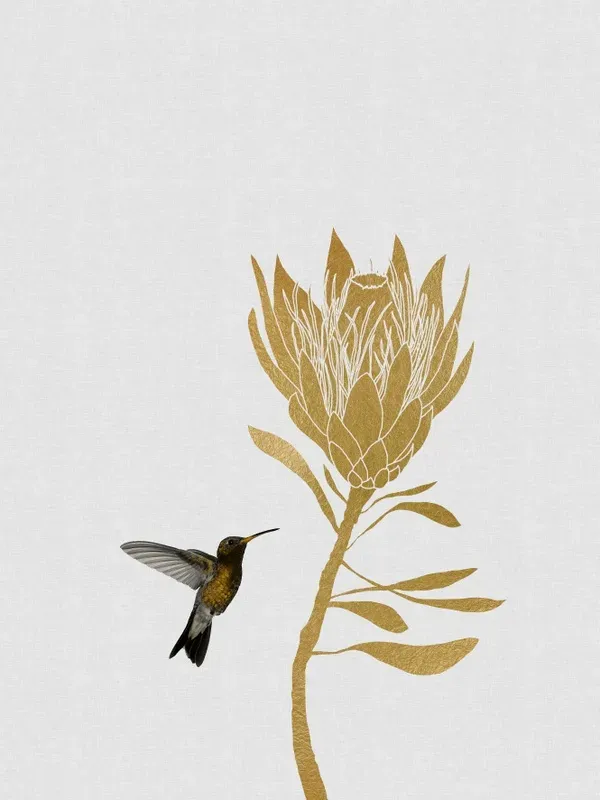 KIT 2 QUADROS DECORATIVOS - HUMMINGBIRD FLOWER